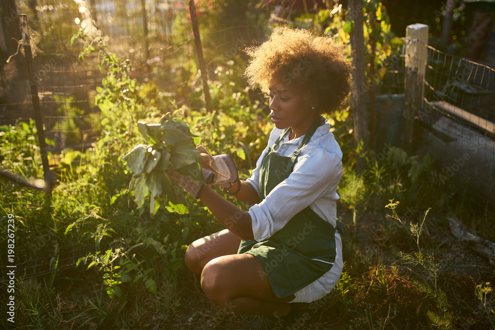 Woman tending to plants